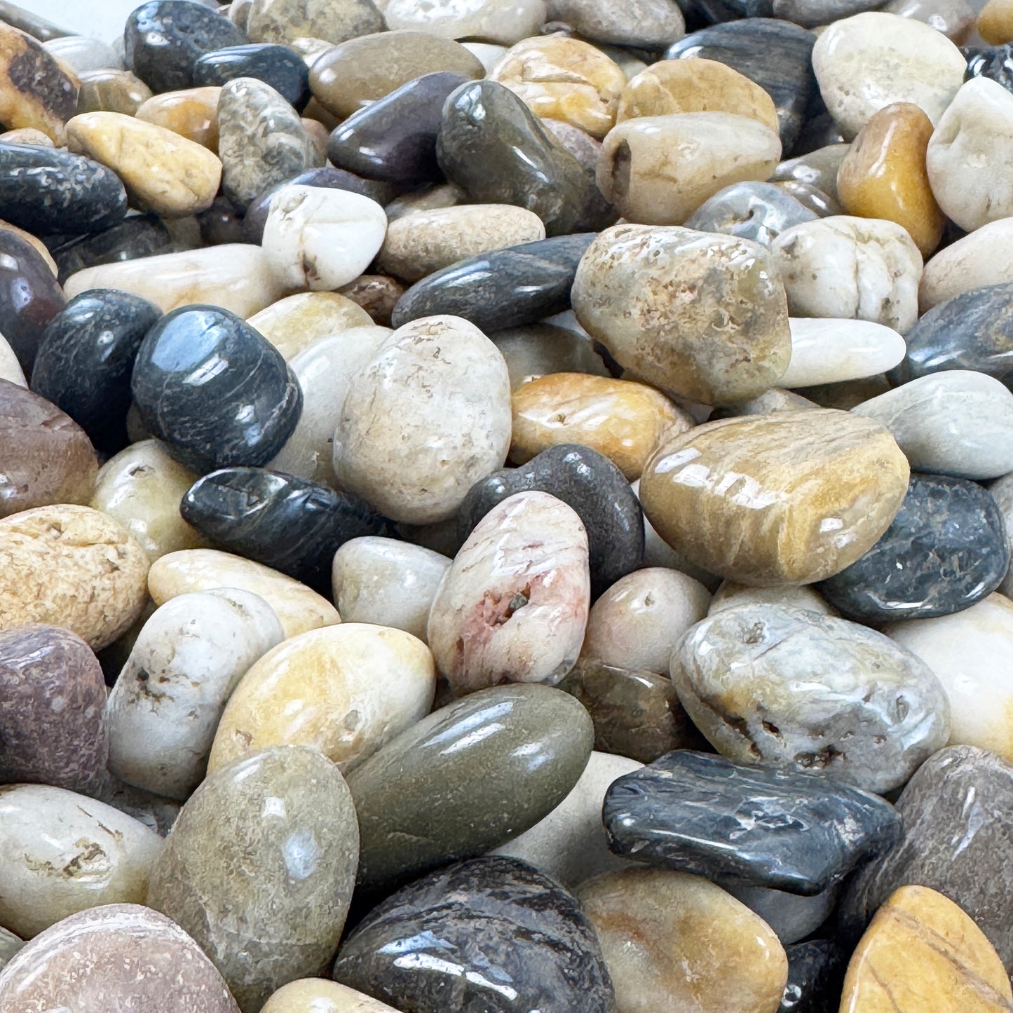 Eternal Stoneworks Colourful High Polished Pebble Stone