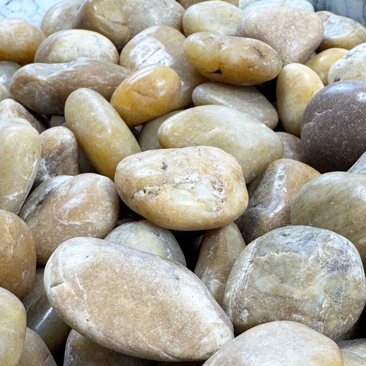 Eternal Stoneworks Yellow High Polished Pebble Stone