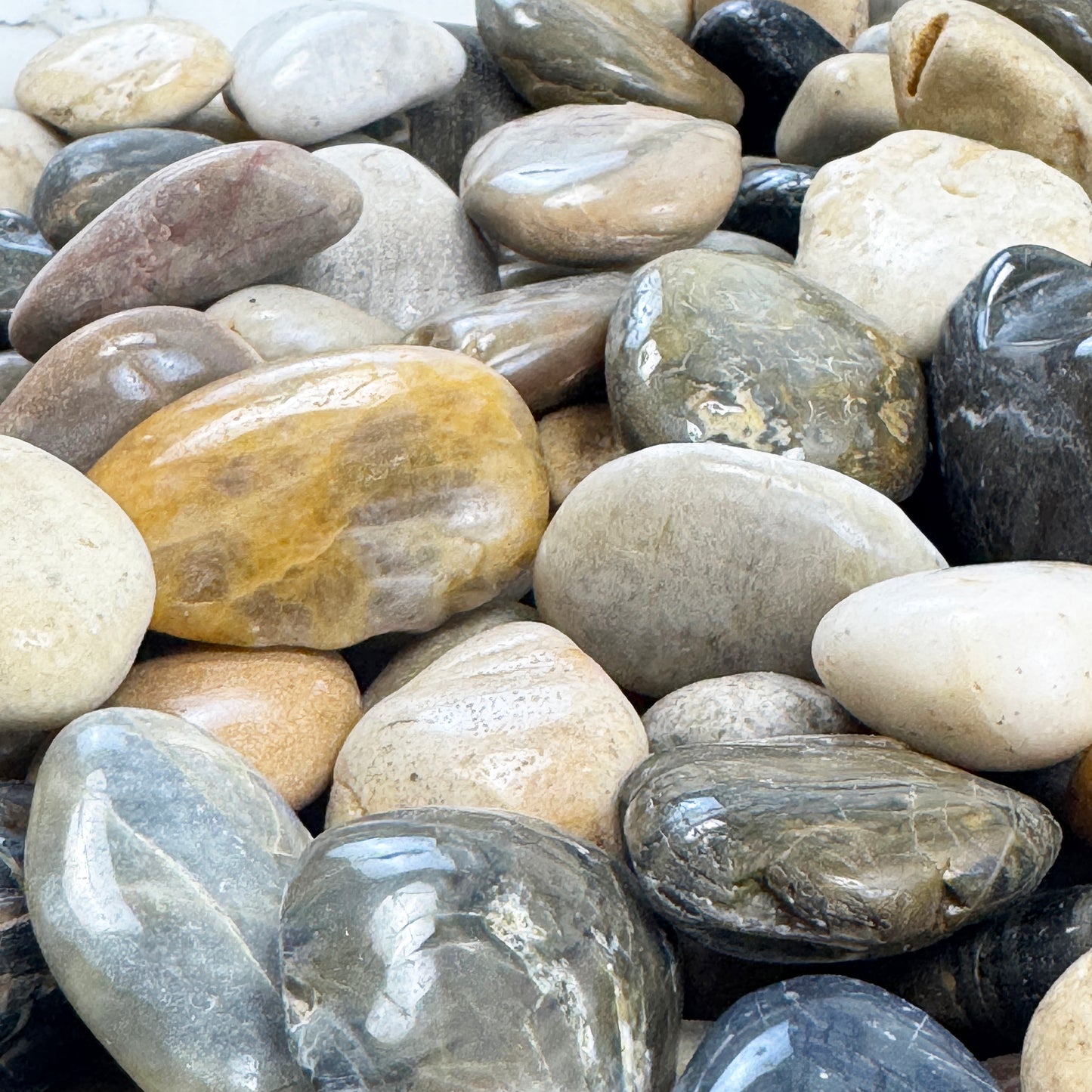 Eternal Stoneworks Colourful High Polished Pebble Stone