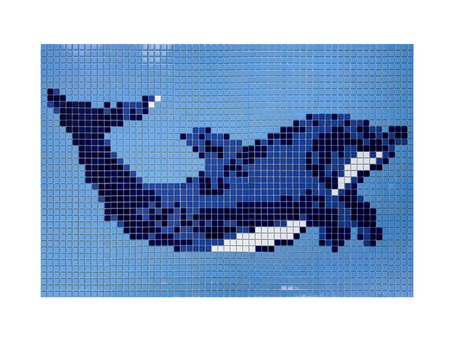 Dolphin Dreams Series Dolphin Pattern Porcelain Mosaic 85502