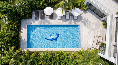 Dolphin Dreams Series